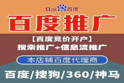 成功托管SEM竞价，实现品牌快速曝光